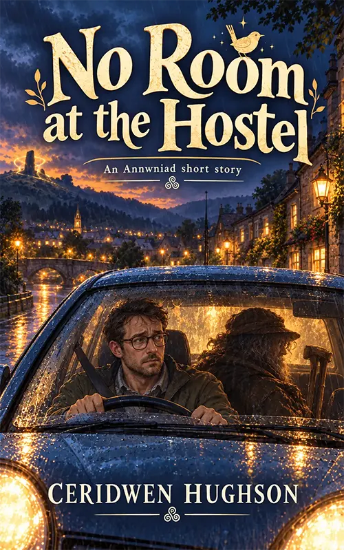 No Room at the Hostel cover
